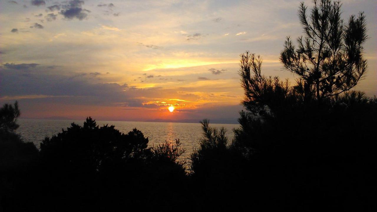 Verde Al Mare สกาลา กัลลีราคิส ภายนอก รูปภาพ